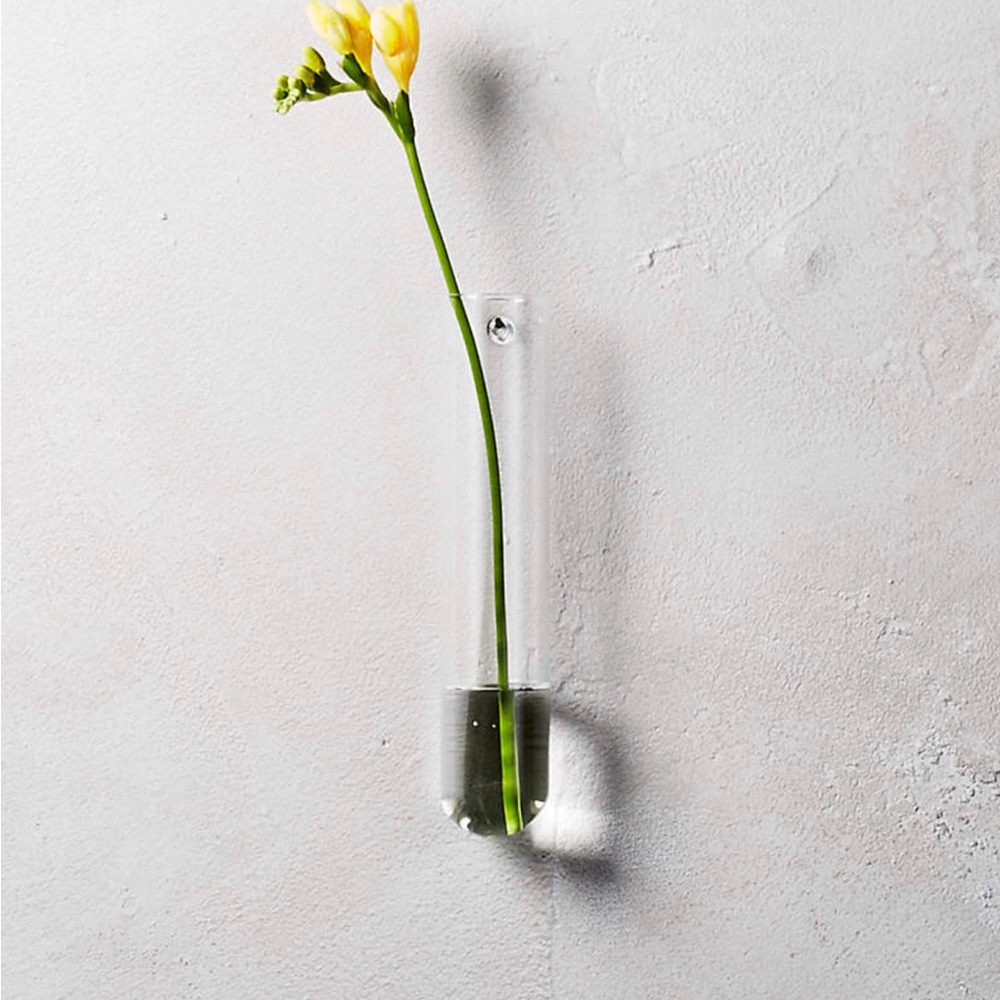 CB2 Beaker Wall Vase